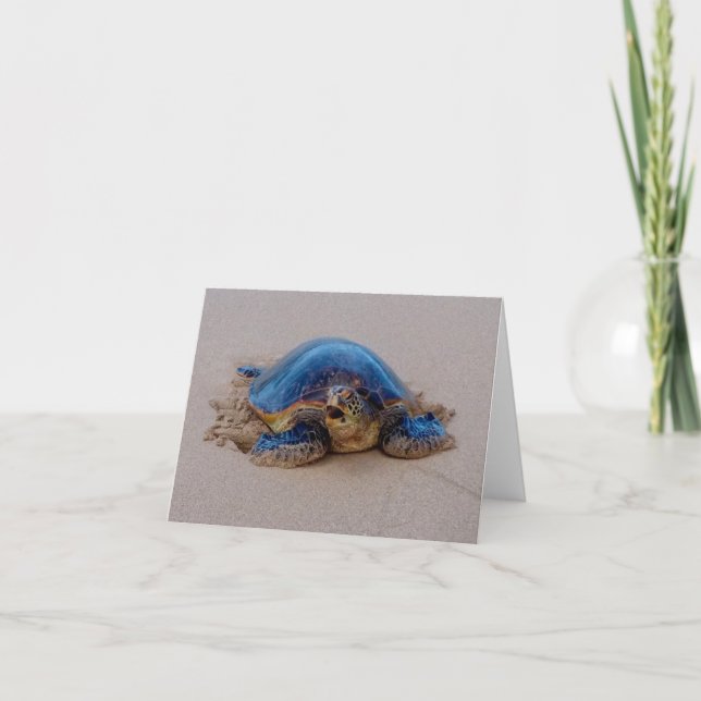Yawning Sea Turtle Note Card (Front)