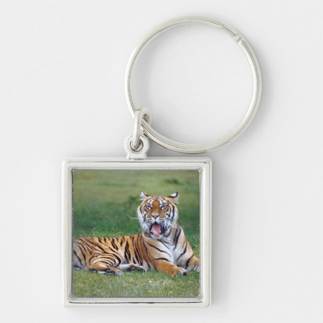 Yawning Tiger Keychain (Front)