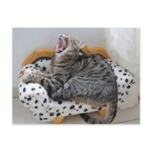 Yawning Tired Kitty Cat Cute Fun Postcard
