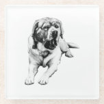 Yawns at the Table Glass Coaster<br><div class="desc">Protect your surfaces with humor—this Labrador caught mid-yawn becomes a lighthearted centerpiece. Grain-rich detail makes it feel like a fine print in miniature.</div>