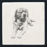 Yawns at the Table Stone Coaster<br><div class="desc">Protect your surfaces with humor—this Labrador caught mid-yawn becomes a lighthearted centerpiece. Grain-rich detail makes it feel like a fine print in miniature.</div>