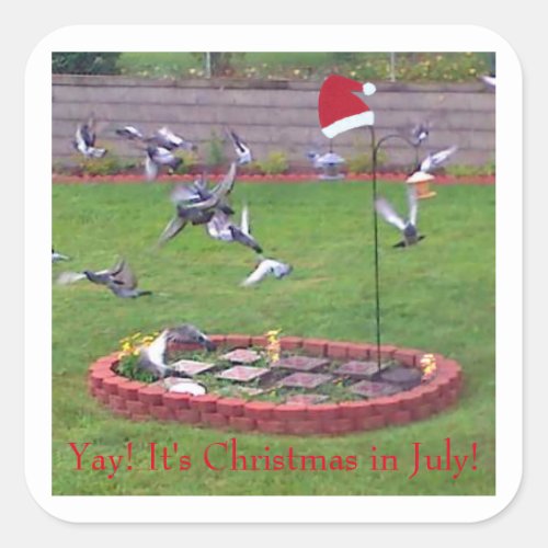 Yay Its Christmas in July birds at the feeder Square Sticker