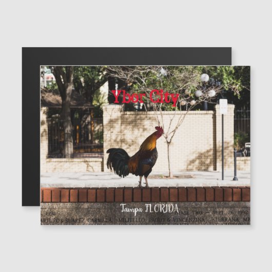 Ybor City, Tampa FLORIDA (Front/Back)