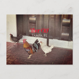 Ybor City, Tampa FLORIDA Postcard