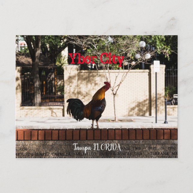 Ybor City, Tampa FLORIDA  Postcard (Front)