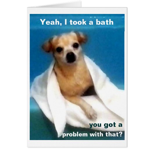 Yeah, I Took A Bath Cards (Front)