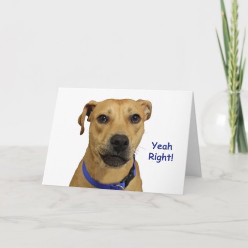 Yeah Right Dog Birthday Card