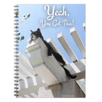 Yeah You Got Motivational Cat Photo Statement