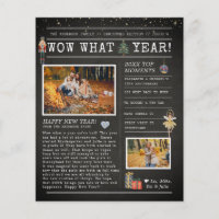 Year in Review Letter | Family Christmas Flyer