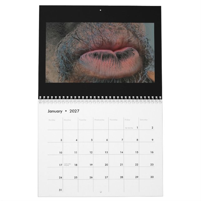 Year In  Year Out Calendar (Jan 2027)