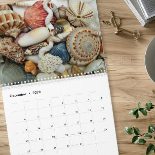 Year Long Seashell Photography Calendar