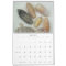 Year Long Seashell Photography Calendar