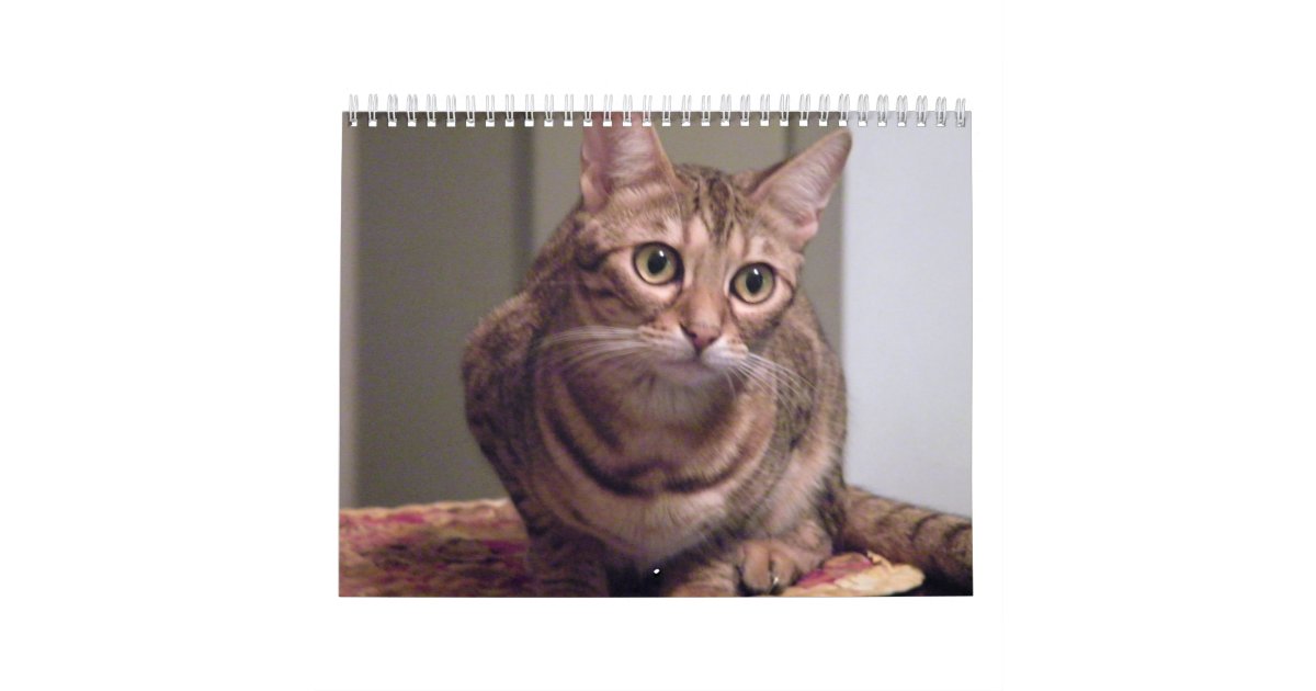 Year of the Bengal Cat Calendar Zazzle