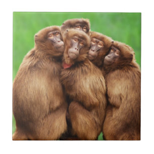 Year Of The Fire Monkey Tile