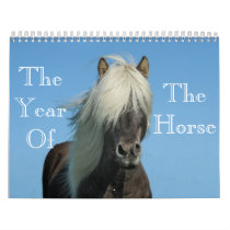Year Of The Horse Calendar