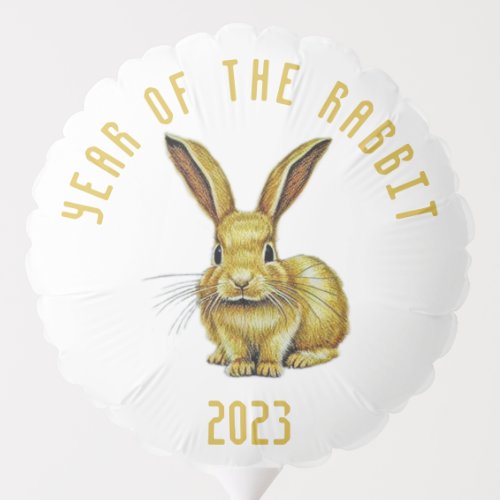 Year of the Rabbit Chinese New Year 2023  Balloon