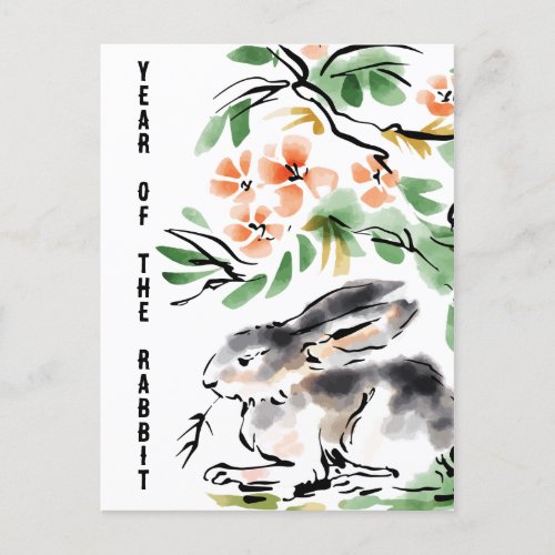 Year of The Rabbit  Postcard