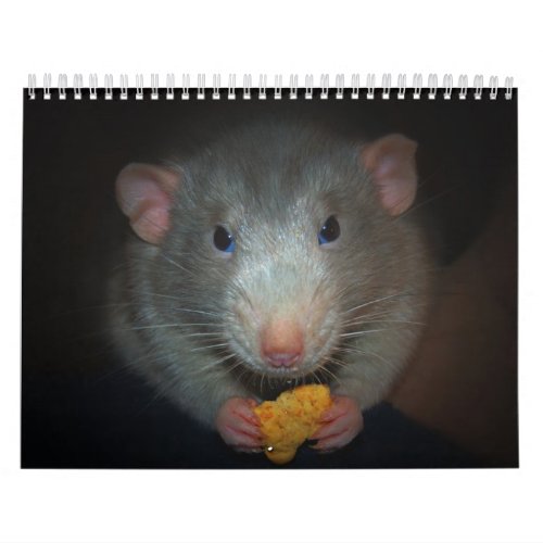 Year of the Rat Calander Calendar
