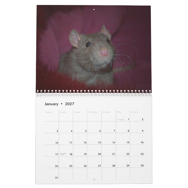 Year of the Rat Calander Calendar (Jan 2027)