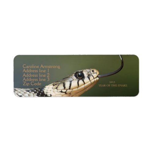 Year of the snake 2013 custom address labels