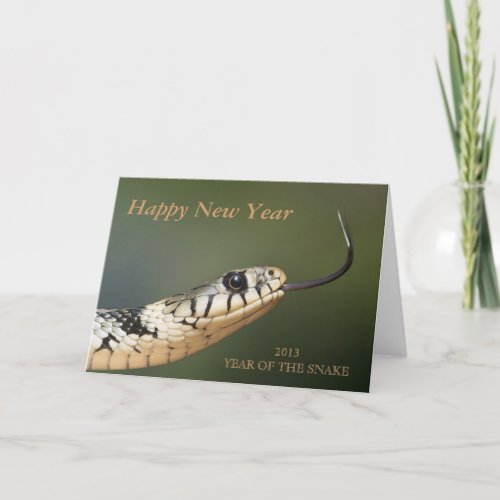 Year of the snake 2013 snake custom new year card