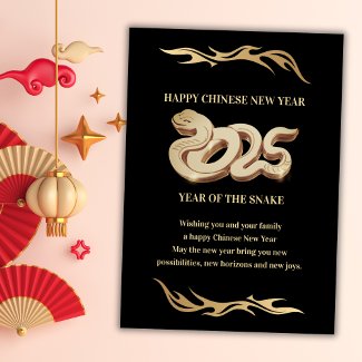 Year Of The Snake 2025 Chinese New Year Black