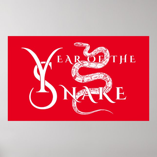 Year of the snake poster (Front)
