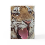 Year of the Tiger Greeting Card
