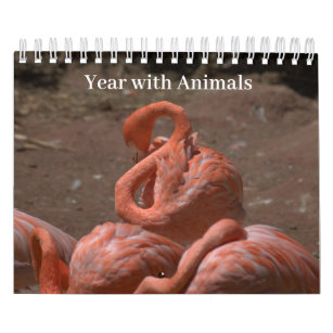 Year with Animals Calendar