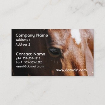 Yearling Business Cards by HorseStall at Zazzle