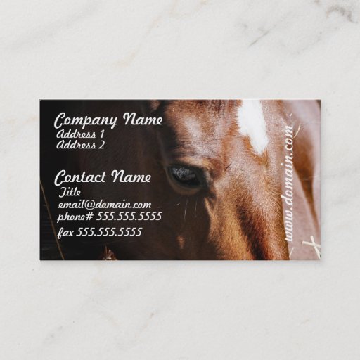 Customizable Yearling Business Cards