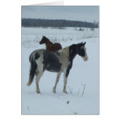 Yearning For Spring (Front)