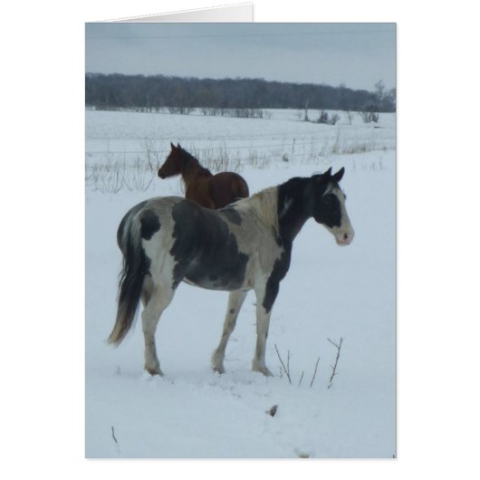 Yearning For Spring (Front)