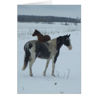Yearning For Spring Cards