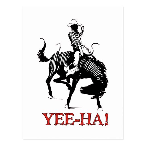 Yee-Ha! Rodeo cowboy on bucking horse stallion Postcard | Zazzle