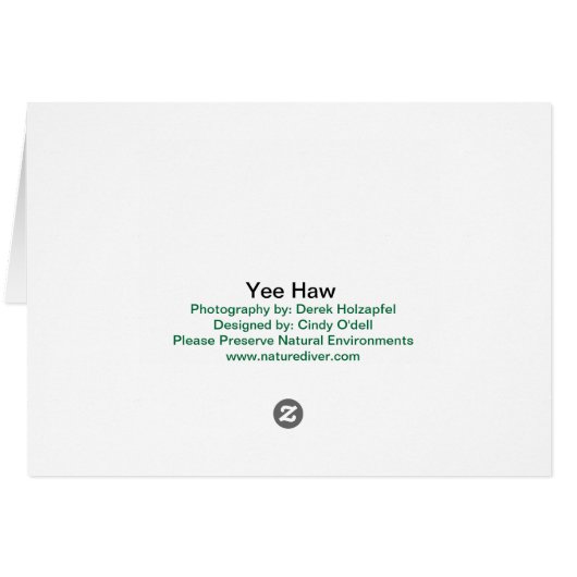 Yee Haw Goat - cards (Back Horizontal)