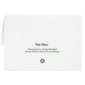 Yee Haw Goat - cards (Back Horizontal)