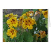 yellow (Front Horizontal)