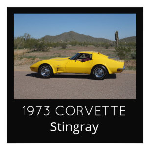 Yellow 1973 Corvette Stingray Photo Print