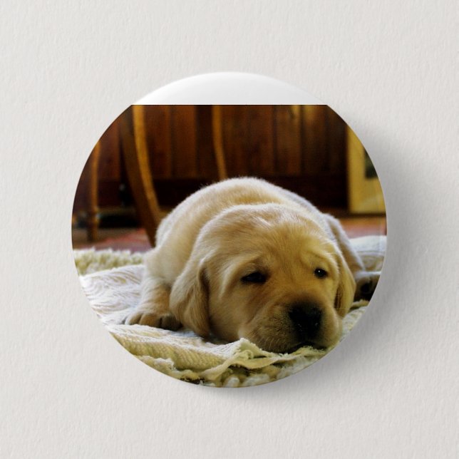 yellow 2 lab puppy button (Front)