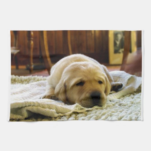 yellow 2 lab puppy kitchen towel