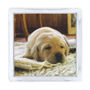 yellow 2 lab puppy silver finish lapel pin