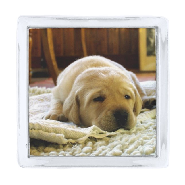 yellow 2 lab puppy silver finish lapel pin (Front)