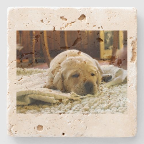 yellow 2 lab puppy stone coaster