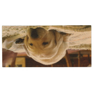 yellow 2 lab puppy wood flash drive