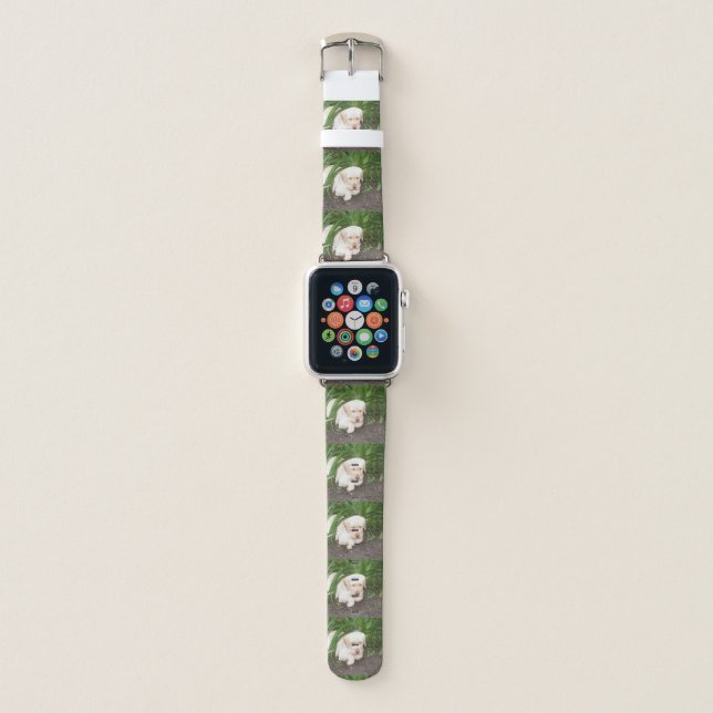 yellow 3 lab laying apple watch band (Front)
