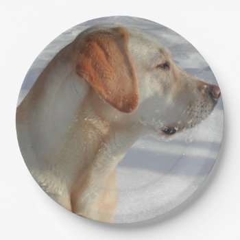 Yellow 4 Lab Paper Plates by BreakoutTees at Zazzle