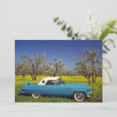 yellow 57 T-Bird flowers (Standing Front)
