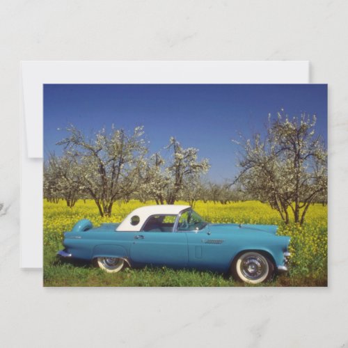 yellow 57 T-Bird flowers Announcements