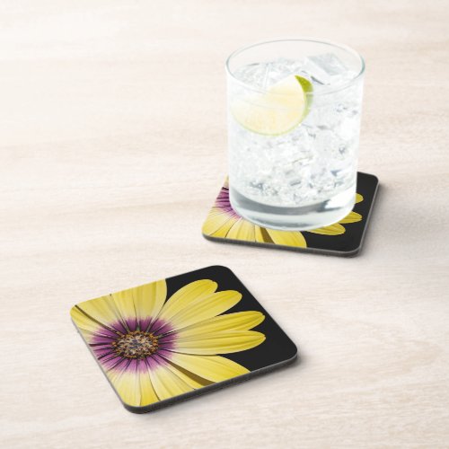 Yellow African Daisy on Black Floral Beverage Coaster